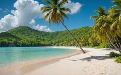 Évasion tropicale : secrets d’un itinéraire hors des sentiers battus aux Antilles