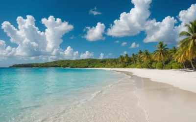 Découvrez la meilleure saison pour explorer les Antilles en voyage inédit